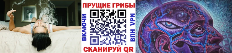 KRAKEN вход  как найти закладки  Псков  Псилоцибиновые грибы MAGIC MUSHROOMS 